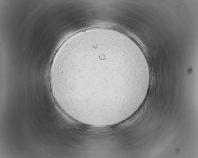X0000116661487201001251207