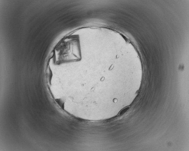 X0000116661488201001251207