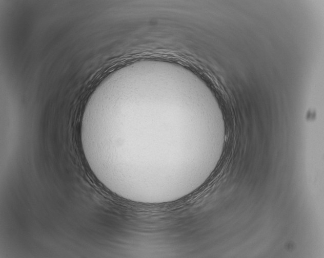 X0000116661489201001251207