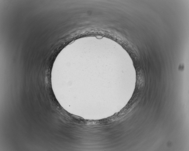 X0000116661490201001251207