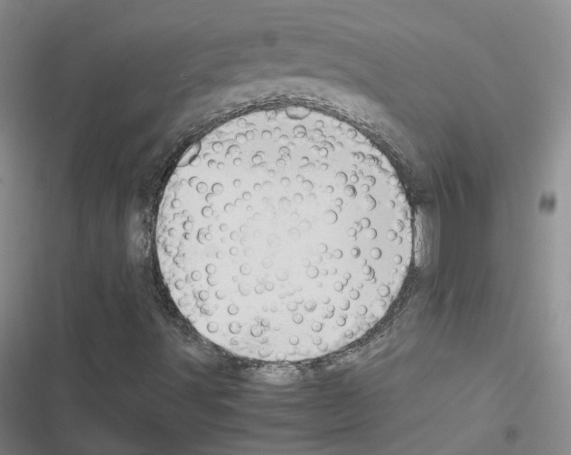 X0000116661491201001251207