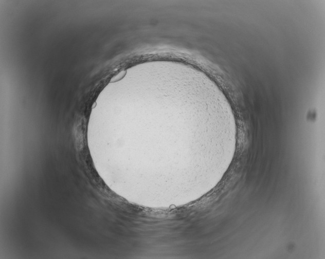 X0000116661493201001251207