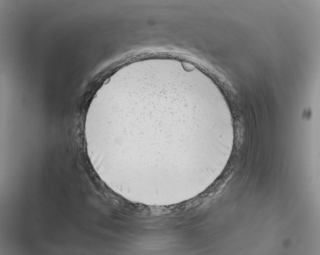 X0000116661494201001251207