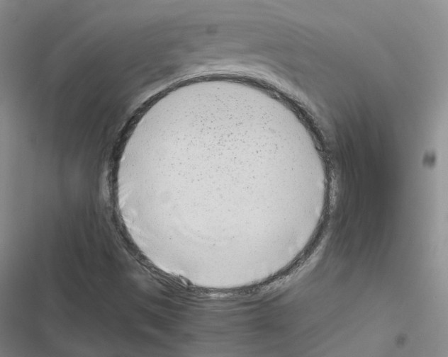 X0000116661497201001251207