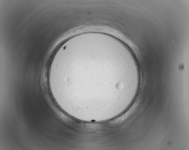 X0000116661498201001251207