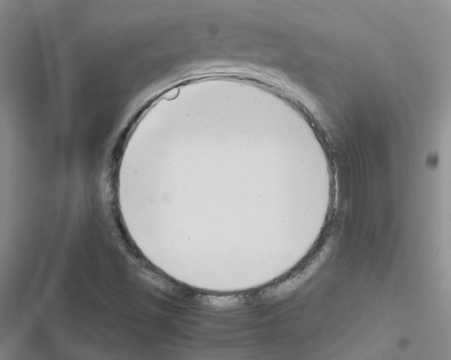 X0000116661501201001251207