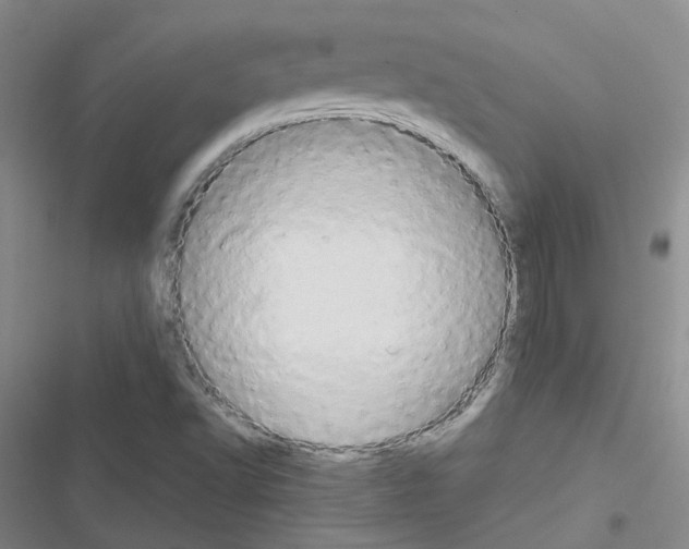 X0000116661502201001251207