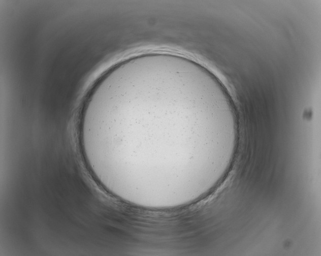 X0000116661503201001251207