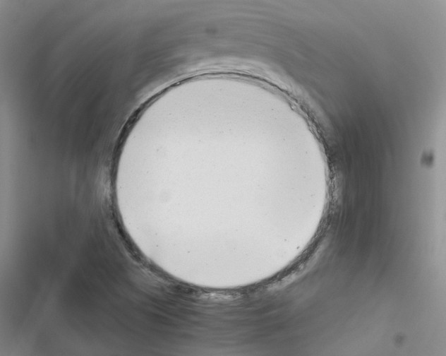 X0000116661505201001251207