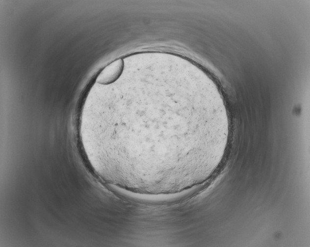 X0000116661506201001251207
