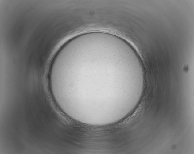 X0000116661507201001251207
