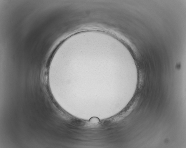 X0000116661509201001251207