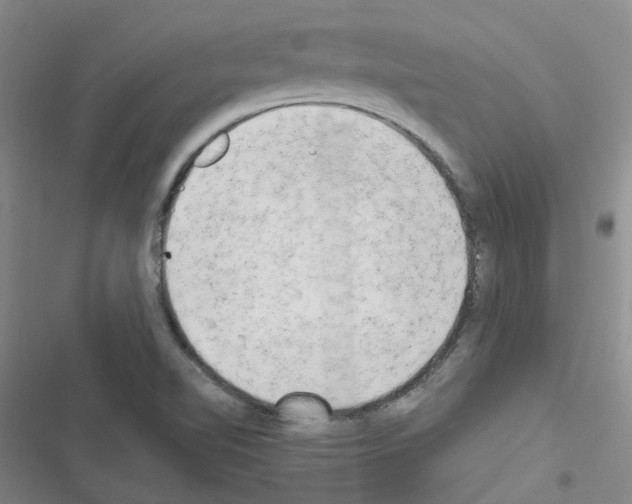 X0000116661510201001251207