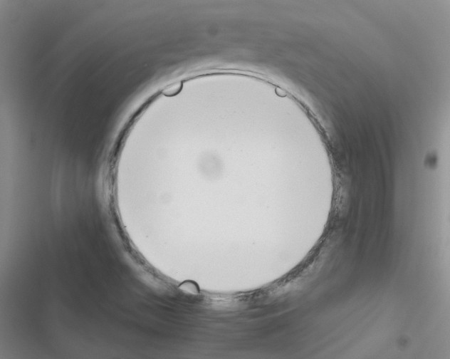 X0000116661511201001251207