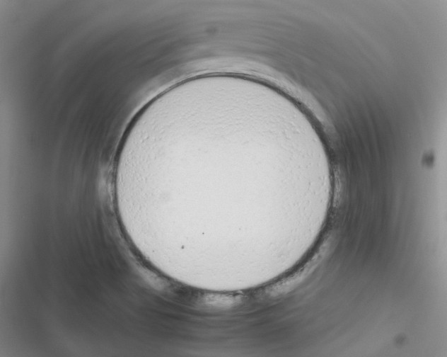 X0000116661513201001251207