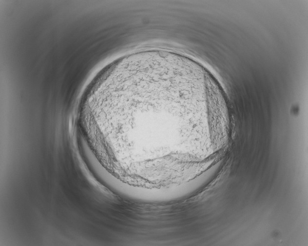X0000116661515201001251207