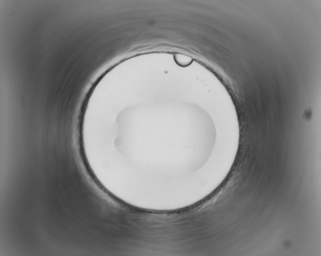 X0000116661518201001251207