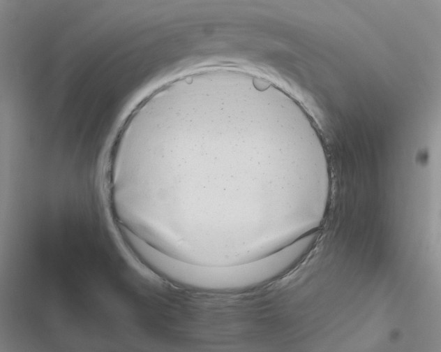 X0000116661519201001251207