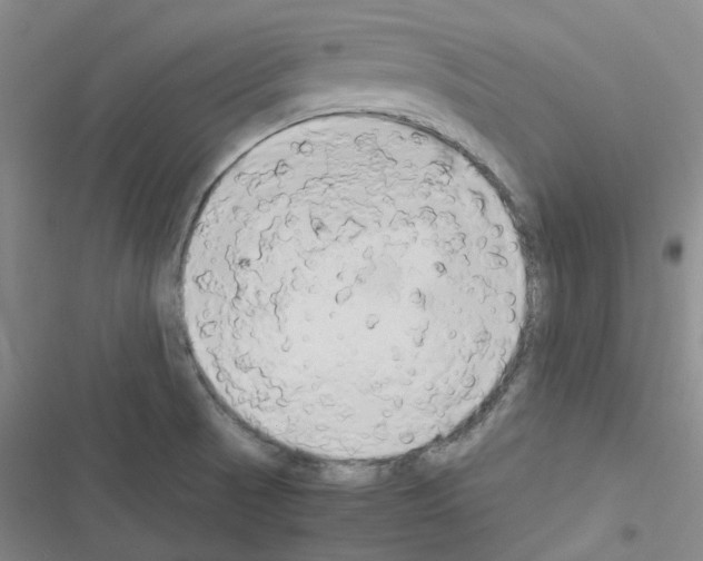 X0000116661521201001251207