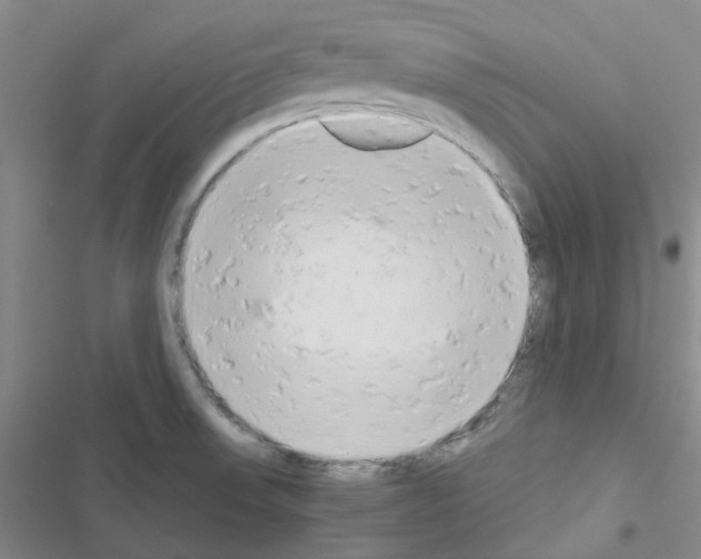 X0000116661523201001251207