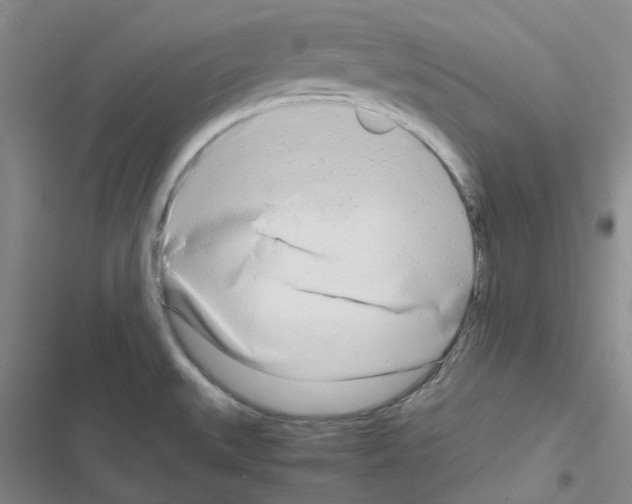 X0000116661527201001251207