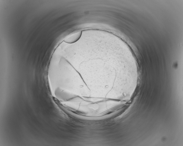 X0000116661529201001251207