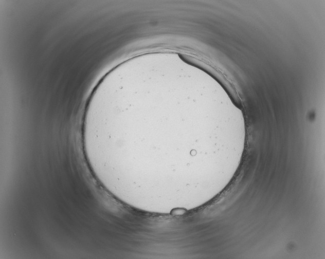 X0000116661530201001251207