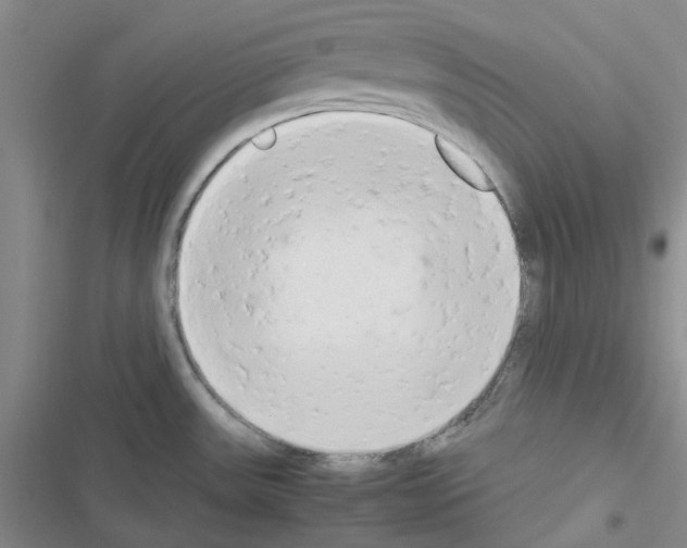 X0000116661531201001251207