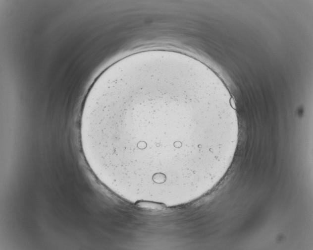 X0000116661534201001251207