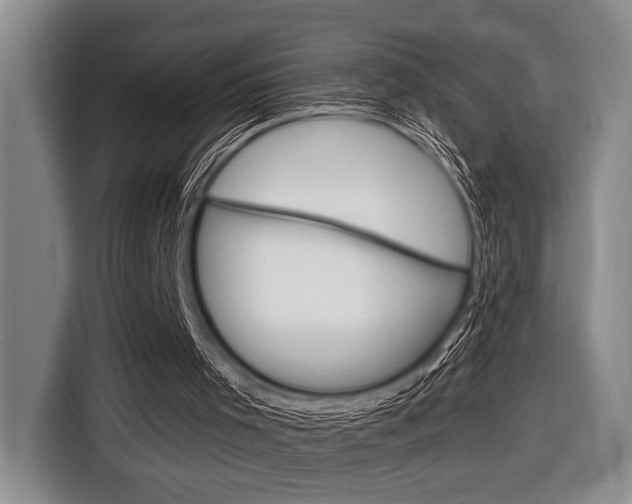 X0000116670001200912140954