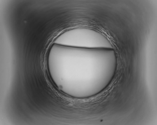 X0000116670002200912140954