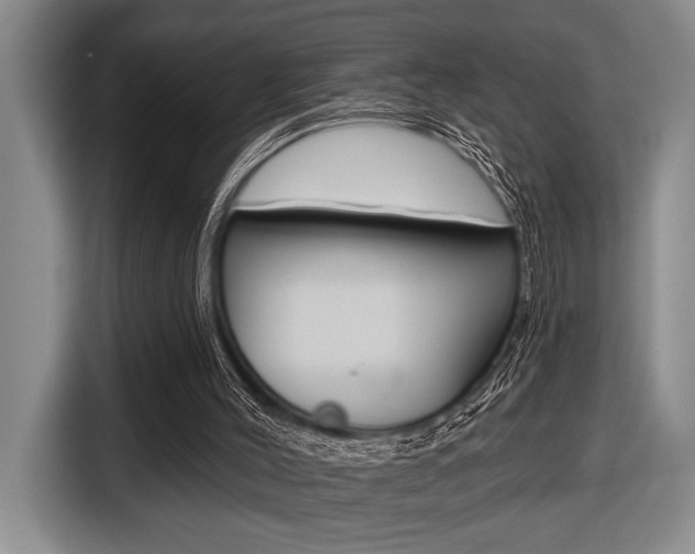 X0000116670004200912140954