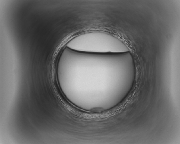 X0000116670005200912140954