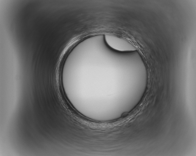 X0000116670006200912140954