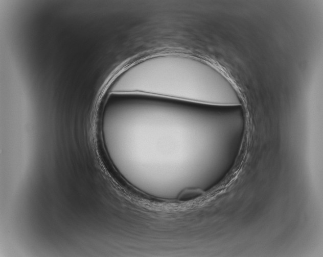 X0000116670007200912140954