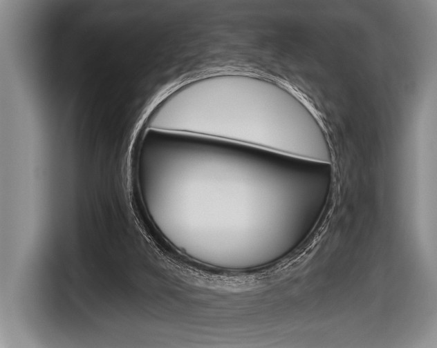 X0000116670008200912140954