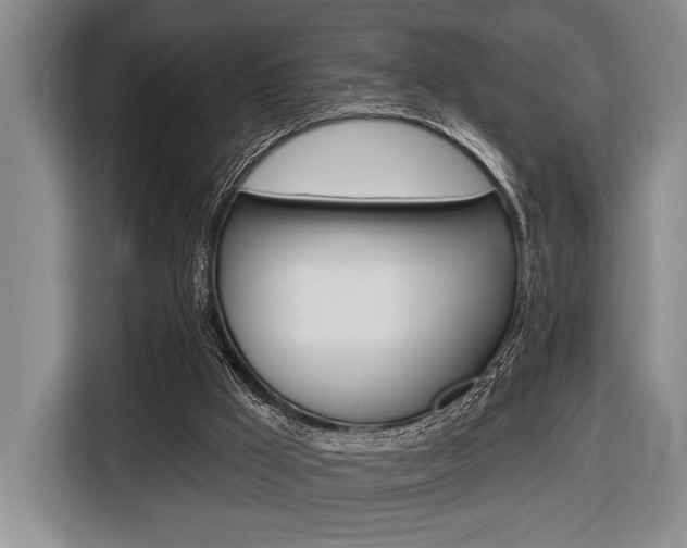 X0000116670009200912140954