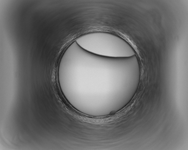X0000116670010200912140954