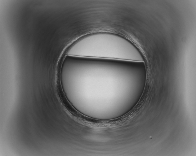 X0000116670012200912140954