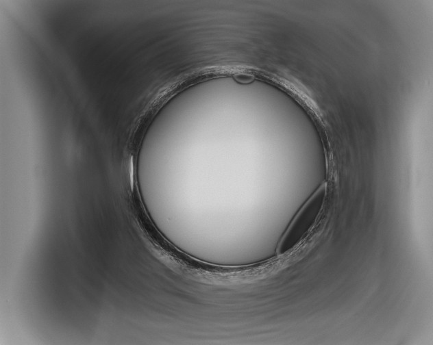 X0000116670013200912140954