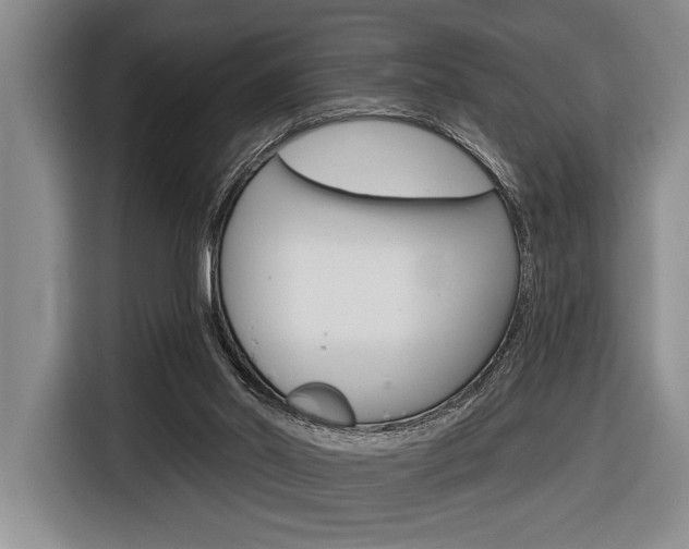 X0000116670014200912140954