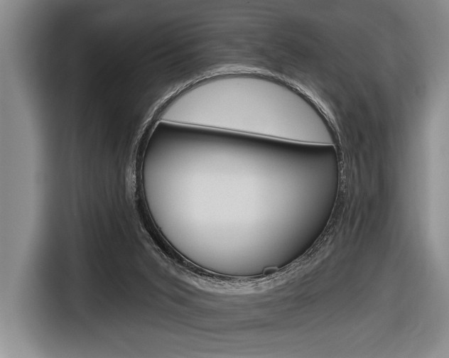X0000116670015200912140954