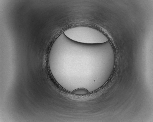 X0000116670018200912140954