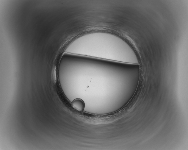 X0000116670020200912140954
