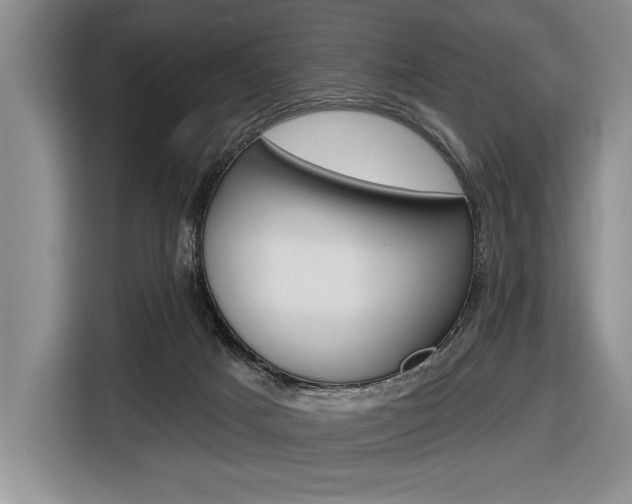 X0000116670025200912140954