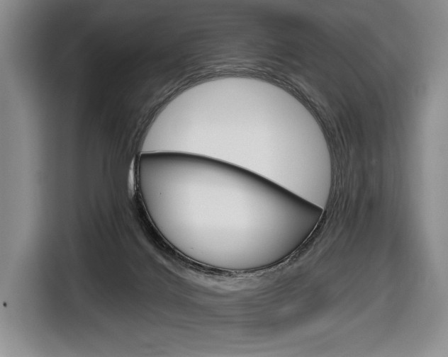 X0000116670028200912140954
