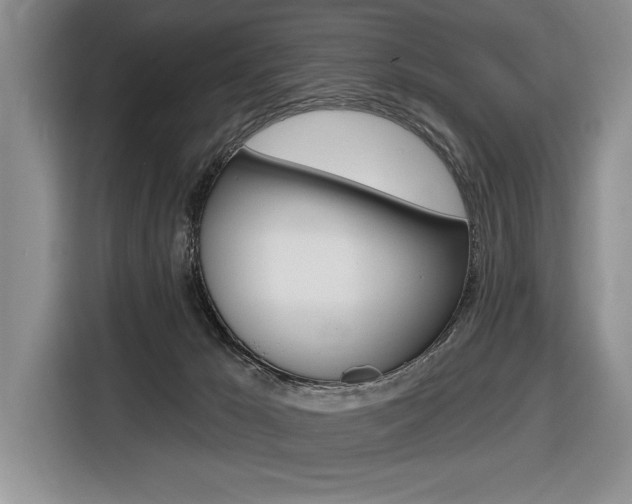 X0000116670029200912140954