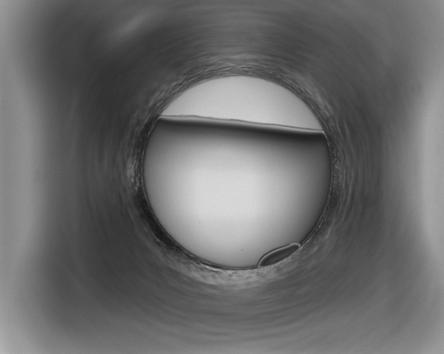 X0000116670031200912140954