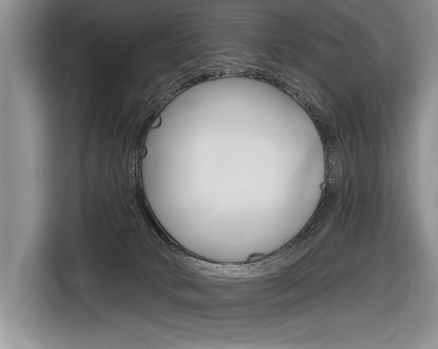 X0000116670034200912140954