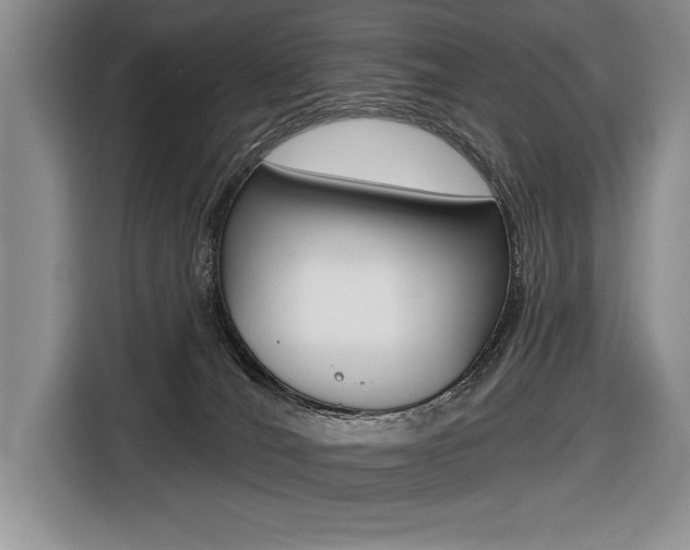 X0000116670036200912140954